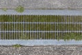 Top view of steel drainage grate with overgrown green moss and grass