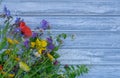 Top view on still life with bouquet of spring wild flowers on blue Royalty Free Stock Photo