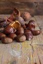 Top view of still life of chestnuts, with its spiny wrap and unfocused brown leaves, on weathered wooden background