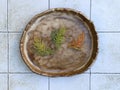 Top view still life of a rustic handmade ceramic plate with evergreen branches Royalty Free Stock Photo