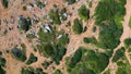 Top view stony ground with low green plants summer day. Beautiful wilderness.