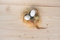 Top view of an Easter nest with orange, brown and white quail eggs decorations with feathers on wooden background Royalty Free Stock Photo