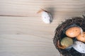 Top view of an Easter nest with orange and brown quail eggs decorations with feathers on wooden background Royalty Free Stock Photo