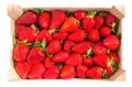 Top view of strawberries box isolated on white background Royalty Free Stock Photo