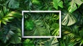 Top view of summer beauty with white frame and tropical leaves. Natural beauty background with white frame and tropical Royalty Free Stock Photo
