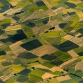 Top view of summer farmers' fields Royalty Free Stock Photo