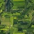 Top view of summer farmers' fields Royalty Free Stock Photo