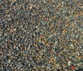 Top view, sun shining on small wet pebbles on beach Royalty Free Stock Photo