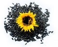 Top view of a sunflower with black seeds Royalty Free Stock Photo