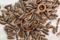 Top View Sunflower Seed on Wooden Spoon