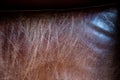 Closeup of an Aged Leather Chair Textured Cushion