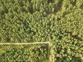 Top view on a sunny summer day on a dirt road through the foliage of the forest. Natural background. Aerial view from Royalty Free Stock Photo