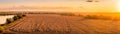 Top view of a sunset or sunrise in an agricultural field with ears of young golden rye. Rural panorama Royalty Free Stock Photo