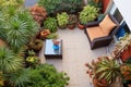 top view of swept backyard patio with potted plants