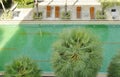 Top view of swimming pool decoration with palm tree