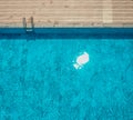 Top view of swimming pool in summer Royalty Free Stock Photo