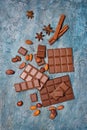 Top view of tasty broken chocolate bars with cocoa beans, nuts and spices