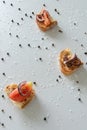 Top view of tasty Italian appetizers -  bruschetta with raw tomatoes and octopus tentacles, on slices of toasted baguette Royalty Free Stock Photo