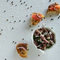 Top view of tasty Italian appetizers -  bruschetta with raw tomatoes and octopus tentacles, on slices of toasted baguette Royalty Free Stock Photo