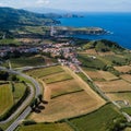 Top view of the tea plantation in Maia, on San Miguel island, Azores Royalty Free Stock Photo