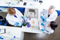 Top view of team work of three scientists, making tests with che Royalty Free Stock Photo