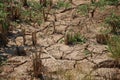 Top view texture arid brown soil image for background nature dry season thailand