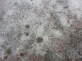 Top view texture of surface with grey ice covered in white snow. Royalty Free Stock Photo