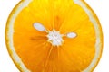 Top view of textured ripe slice of orange citrus fruit isolated looks like acat head with her pips on white background.