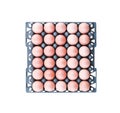 Top view thirty raw eggs in old black plastic tray isolated on white background with clipping path Royalty Free Stock Photo