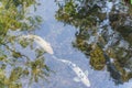 Top view three beautiful koi fishes swimming at clear pond in botanic garden near Dallas, Texas, USA Royalty Free Stock Photo