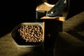 Top view of three different varieties of coffee beans on dark b Royalty Free Stock Photo
