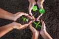 top view three hand holding plant on soil. eco concept