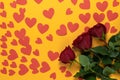 top view of three red roses lie on a yellow background. Lots of cardboard hearts. Valentine's day holiday concept.