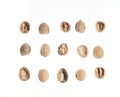 Top view of three rows and five columns of walnuts or parts of walnut shells