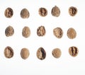 Top view of three rows and five columns of walnuts or parts of walnut shells