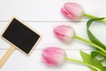 Top view of three soft pink tulips