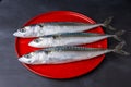 Top view of three whole mackerels on a red plate and dark background in horizontal with dark light