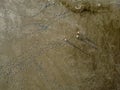 Top view of three women walking across the mudflats of the Waddensea at low tide, Holland Royalty Free Stock Photo