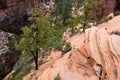 Top view to Angels Landing Trail, beautiful views over the Virgin River ,Zion National Park, Utah Royalty Free Stock Photo