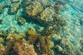 Top view to the bottom of the sea on the beach. Pebbles sand and fish. Sun glare and coral on the surface of the water and the Royalty Free Stock Photo