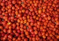 Top view to raw red Pitanga fruit Eugenia uniflora Royalty Free Stock Photo