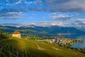 Top view to vineyards near Vevey at Geneva lake