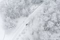 Top view to wood from bird`s eye. Amazing winter scene. Christmas theme. Winter background Royalty Free Stock Photo