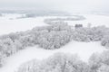 Top view to wood from bird`s eye. Amazing winter scene. Christmas theme. Winter background Royalty Free Stock Photo