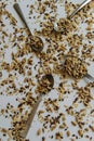 Top view of toasted mix of seeds - sunflower, lin and sesame see Royalty Free Stock Photo