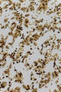 Top view of toasted mix of seeds - sunflower, lin and sesame see Royalty Free Stock Photo