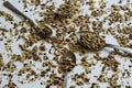 Top view of toasted mix of seeds - sunflower, lin and sesame seeds Royalty Free Stock Photo