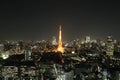 Top view of Tokyo cityscape at night