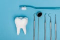 Top view of tooth model near toothbrush and dental tools on blue background. Royalty Free Stock Photo