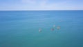 Top view of tourists on sea with SUP-boards. Clip. Beautiful clear sea with people floating on boards engaged in sup